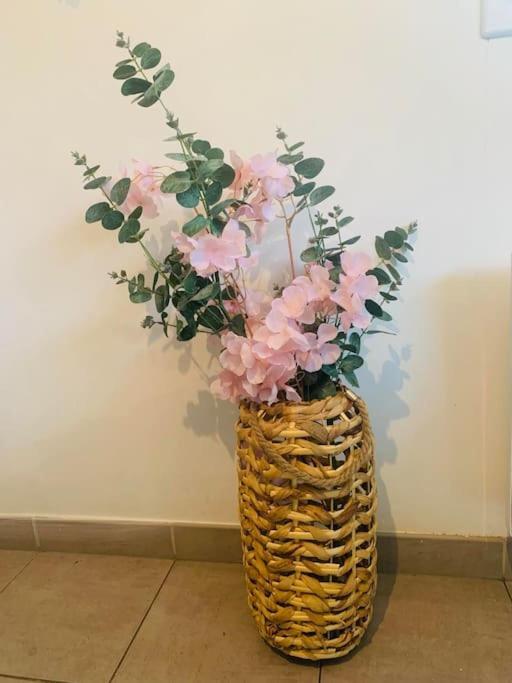 TilléProche Aeroport A Pied O' Jungleアパートメント エクステリア 写真